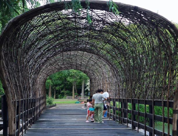 发现“上海松江后花园”：城市边缘的秘密浪漫